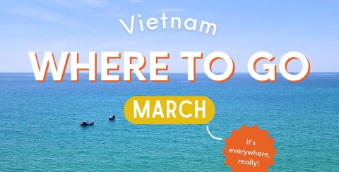 where to go chomchom travel