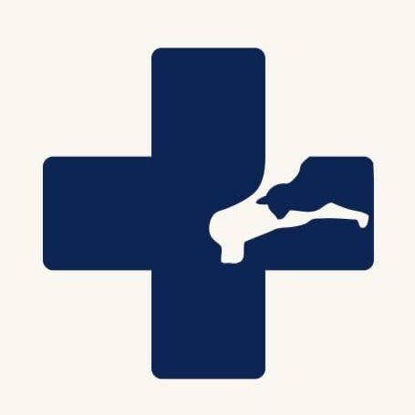 Animal Doctors International