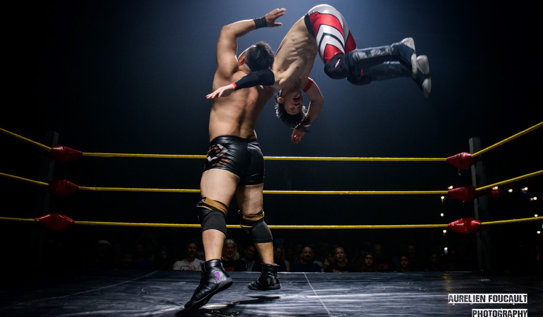 Vietnam Pro Wrestling