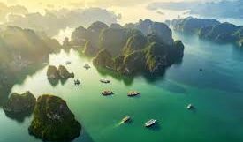 Discover Your Vietnam